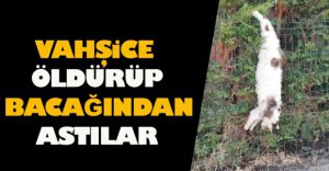 ÖLDÜRÜP BACAĞINDAN ASTILAR