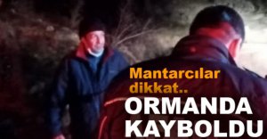 ORMANLIK ALANDA KAYBOLDU...
