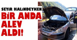 OTOMOBİLİ ALEVLER SARDI