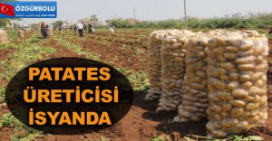 PATATES ÜRETİCİSİ İSYANDA