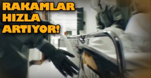 RAKAMLAR HIZLA ARTIYOR
