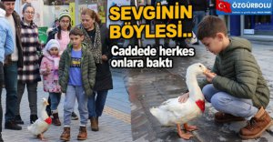 SEVGİNİN BÖYLESİ