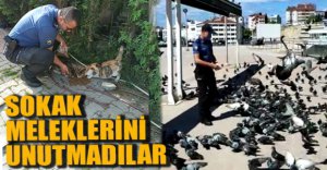 SOKAK HAYVANLARININ İMDADINA KOŞTULAR