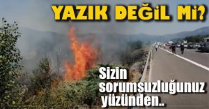 1 DÖNÜMLÜK ARAZİYE YAZIK OLDU...