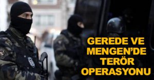 TERÖR ÖRGÜTÜ ÜYELERİNE EŞ ZAMANLI OPERASYON