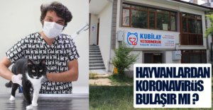 ''VATANDAŞLAR HAYVANLARINI BIRAKMASINLAR''