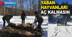 YABAN HAYVANLARI AÇ KALMASIN