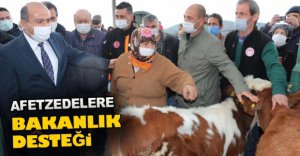 YANGININ VURDUĞU KÖYE BAKANLIK DESTEĞİ