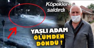 YAŞLI ADAM KÖPEK SALDIRISINA UĞRADI