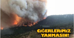 YETKİLİLERDEN VATANDAŞLARA UYARI