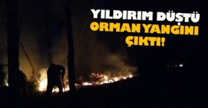 YILDIRIM DÜŞEN ORMANDA YANGIN ÇIKTI
