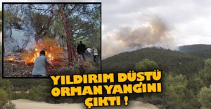 YILDIRIM DÜŞTÜ, ORMAN YANGINI ÇIKTI