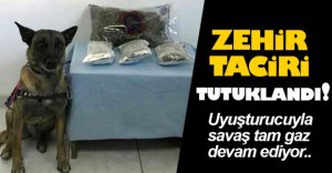 ZEHİR TACİRİ TUTUKLANDI
