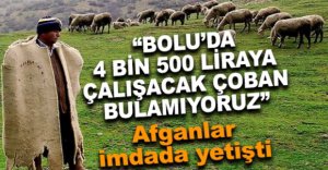 "4 BİN 500 LİRAYA ÇOBAN BULAMIYORUZ"