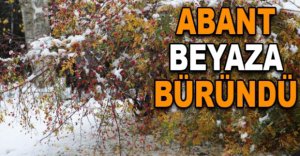 ABANT BEYAZA BÜRÜNDÜ