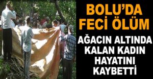 AĞACIN ALTINDA KALAN KADIN HAYATINI KAYBETTİ