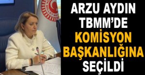 ARZU AYDIN KOMİSYON BAŞKANLIĞINA SEÇİLDİ