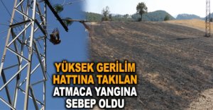 GERİLİM HATTINA TAKILAN ATMACA YANGINA SEBEP OLDU