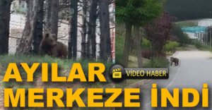 AYILAR MERKEZE İNDİ....