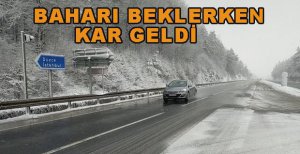 BAHARI BEKLERKEN KAR GELDİ