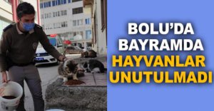 BAYRAMDA HAYVANLAR UNUTULMADI