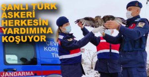 BİTKİN DÜŞEN ŞAHİNE ŞEFKAT ELİ