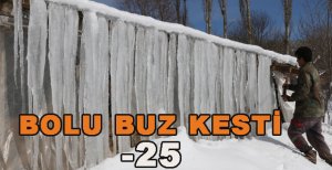 BOLU BUZ KESTİ