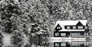 BOLU YİNE GECE BUZ KESTİ