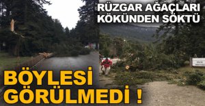 BOLU'DA FIRTINA YIKTI GEÇİRDİ !