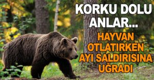 HAYVAN OTLATIRKEN AYININ SALDIRISINA UĞRADI