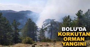 BOLU’DA KORKUTAN ORMAN YANGINI