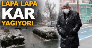 BOLU'DA LAPA LAPA KAR YAĞIYOR