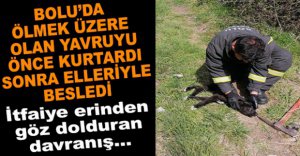 BOLU'DA YAVRU KÖPEK SON ANDA KURTARILDI