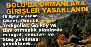 ORMAN VE MESİRE ALANLARIYLA İLGİLİ YENİ KARARLAR...