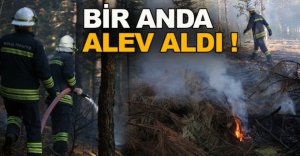 BOLU'DA ORMANLIK ALANDA YANGIN!