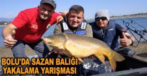 BOLU'DA SAZAN BALIĞI YAKALAMA YARIŞMASI