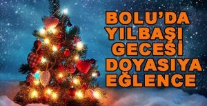 BOLU’DA YILBAŞI GECESİ ÜNLÜ İSİMLER SAHNE ALACAK