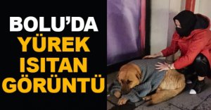 BOLU’DA YÜREK ISITAN GÖRÜNTÜ