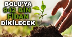BOLU'YA 942 BİN FİDAN DİKİLECEK
