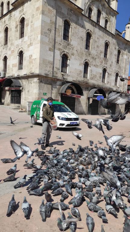 BAYRAMDA HAYVANLAR UNUTULMADI