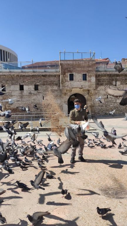 BAYRAMDA HAYVANLAR UNUTULMADI