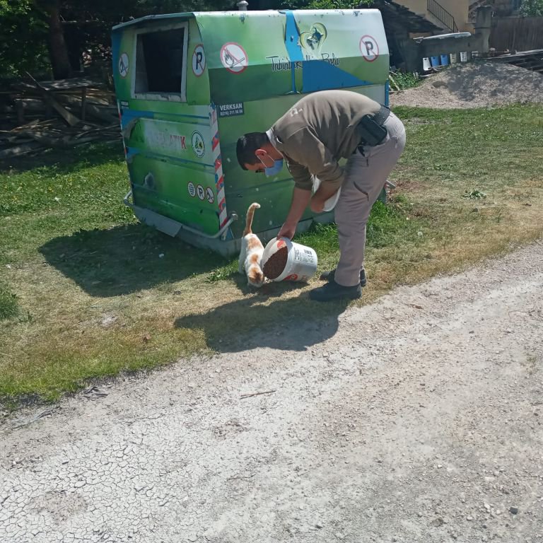 BAYRAMDA HAYVANLAR UNUTULMADI