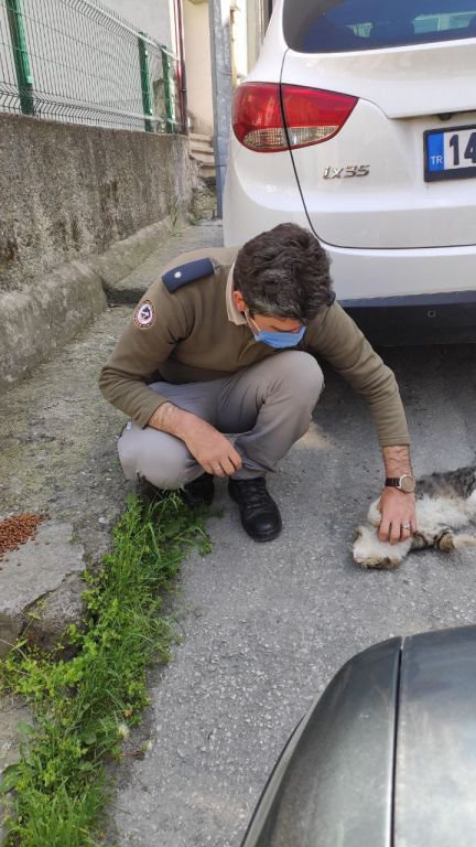 BAYRAMDA HAYVANLAR UNUTULMADI