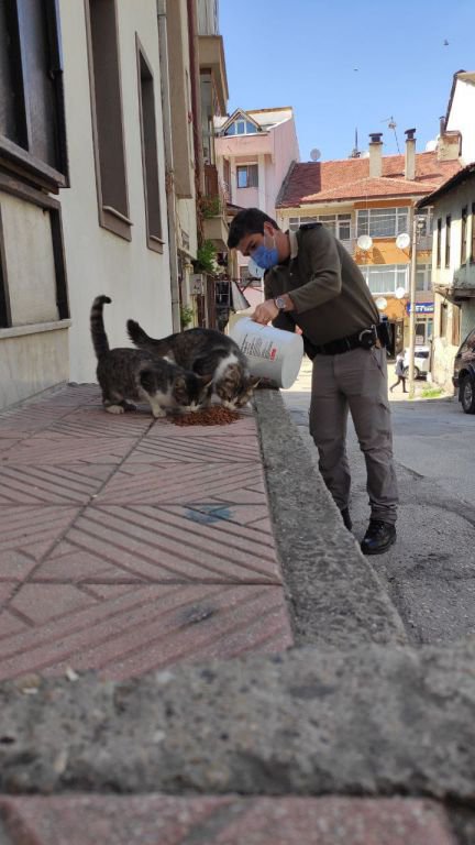 BAYRAMDA HAYVANLAR UNUTULMADI