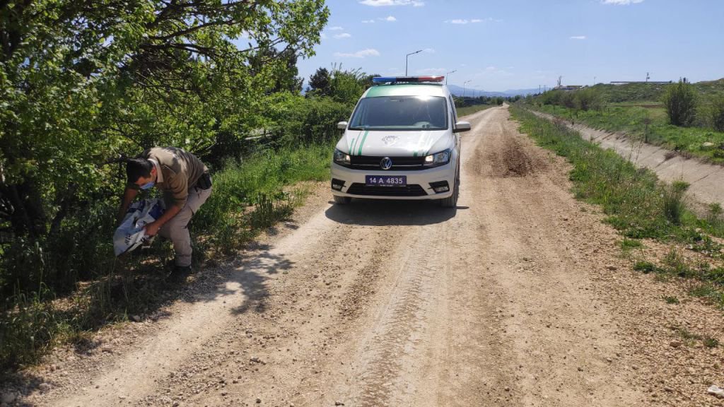 BAYRAMDA HAYVANLAR UNUTULMADI