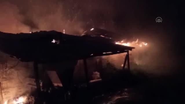 BİNLERCE CİVCİV TELEF OLDU