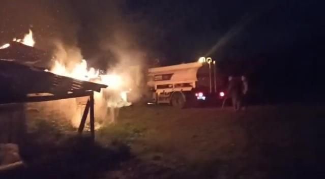 BİNLERCE CİVCİV TELEF OLDU