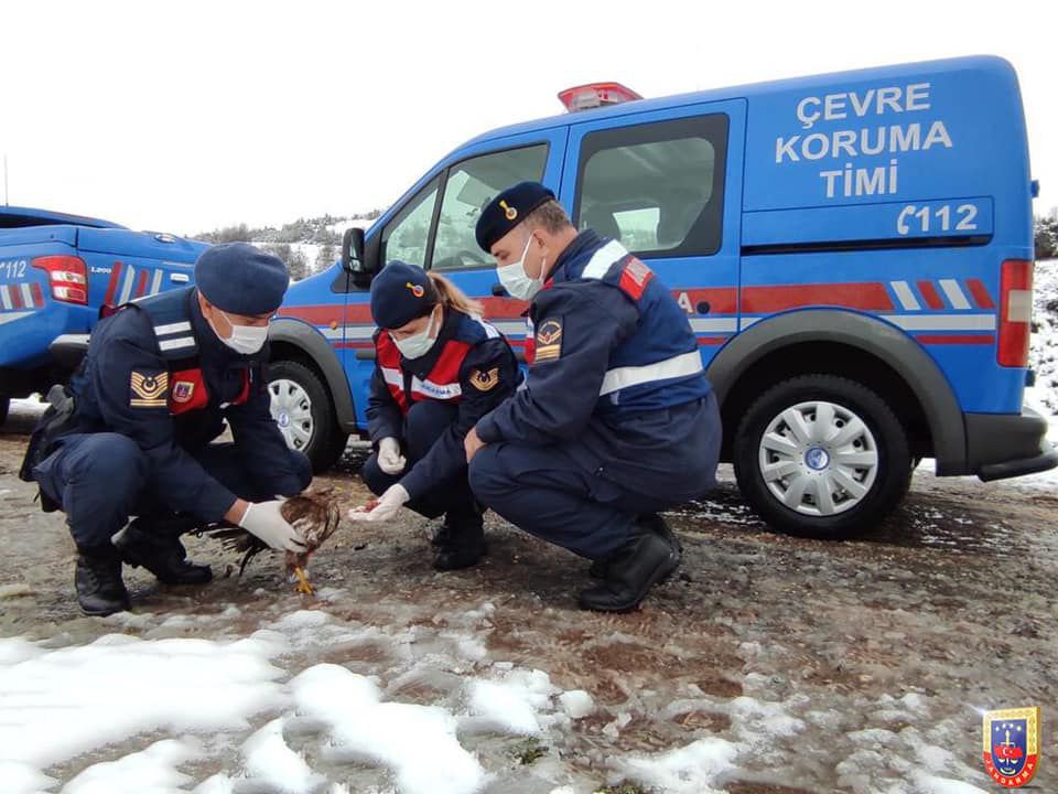 BİTKİN DÜŞEN ŞAHİNE ŞEFKAT ELİ