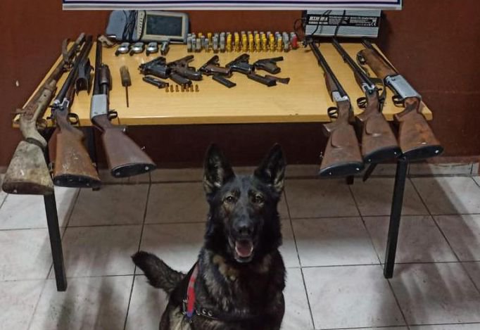 BOLU'DA EVDEN CEPHANELİK ÇIKTI !