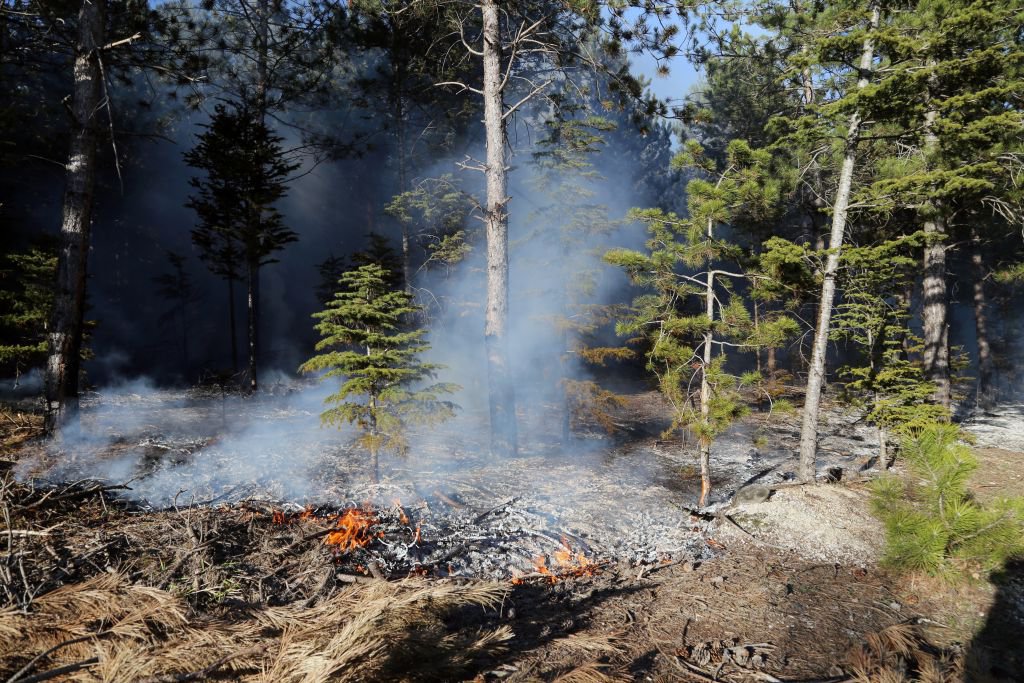BOLU'DA ORMANLIK ALANDA YANGIN!